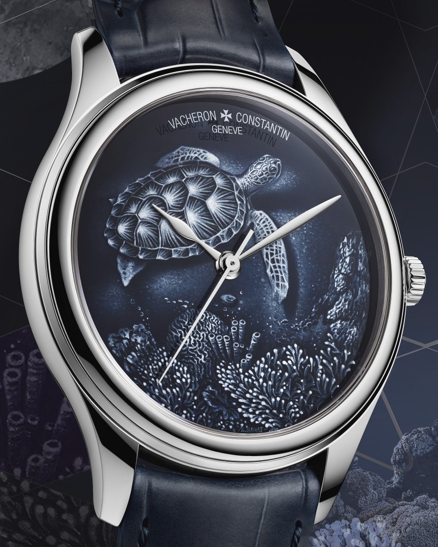 Les Cabinotiers 灰色系列 - 海龟